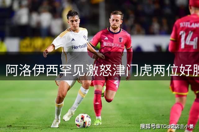 阿洛伊西罕见激怒津门虎两位好脾气教练